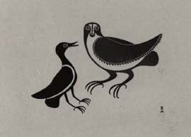 Hawk and Raven