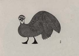 Tundra Hawk