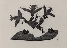 Raven Defending Nest