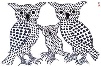Winter Owls