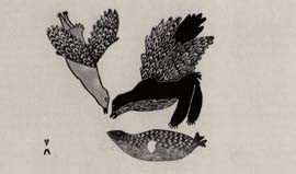 Birds Fighting Over Seal