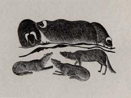 Muskoxen and Wolves