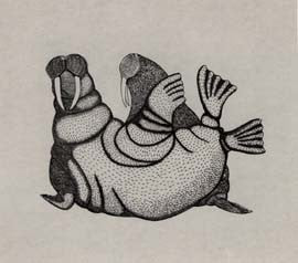 Walrus