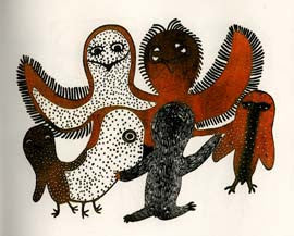 Birds I Know