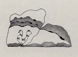 Bird on the Land