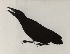 Tulugaq