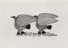 Two Birds