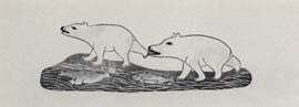 Young Bears at Play
