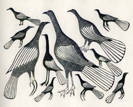 Field of Birds