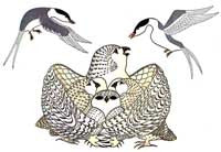 Mother Protects Her Young