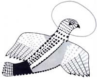 Ptarmigan in Sunlight