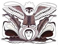 The Owl Surveys All