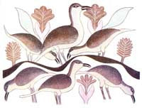 Birds Feeding Among Spring Flowers