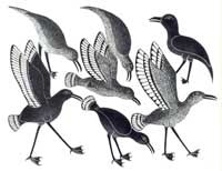 Field of Ravens