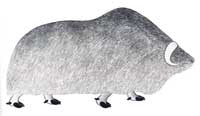 Lone Muskox