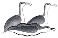 Sailing on Spirit Bird