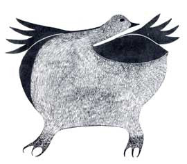 Ptarmigan Looks About