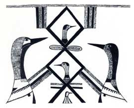 Loons Protecting Young