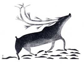 Pangniq Sniffs the Wind