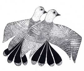 Ptarmigan in the Fall