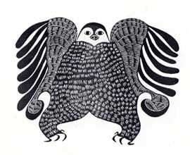 Young Hawk