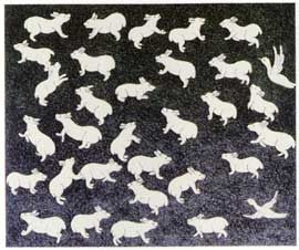 Field of Rabbits