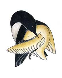 Tender Enfoldment