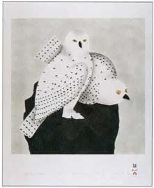 Owls Looking for Lemmings