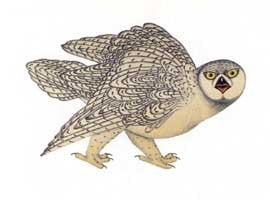 Falcon on Guard