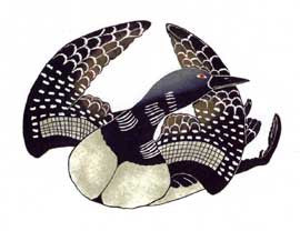 Loon's Descent