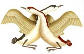 Mating Geese