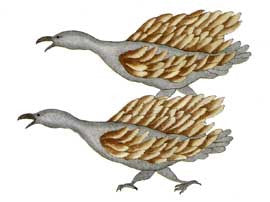 Frightful Birds