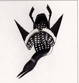 Loon Diving