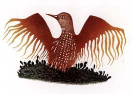 Dancing Loon