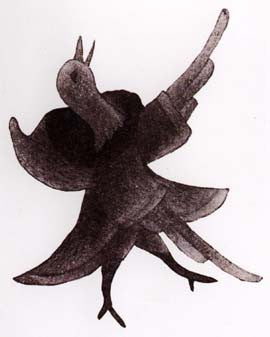 Timianguaq (Like a Bird)