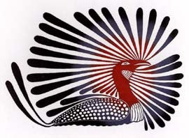 Radiant Loon