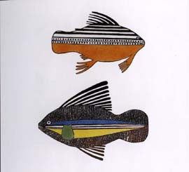 Strange Fish