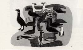 Ducks Playing In The Spring