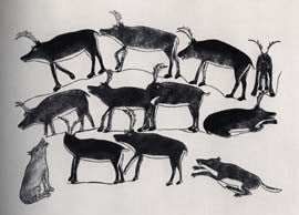 Fall Caribou