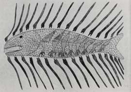 Creatures of the Deep