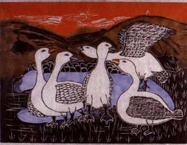 Birds Going Down South