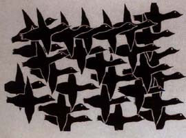 Migrating Birds