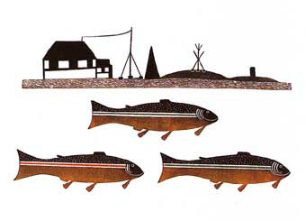 Lake Trout Near Our Camp