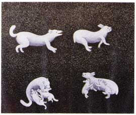 The Fox and the Rabbit