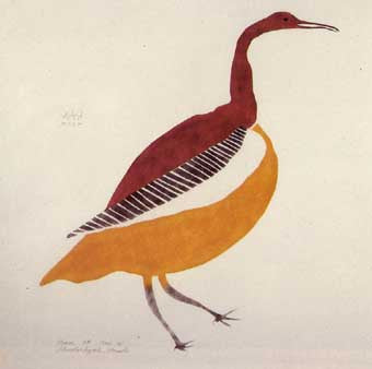 Crane