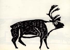 Caribou