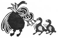 Kangot (White Geese)