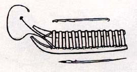 Memory From My Father