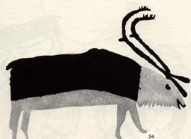 Caribou