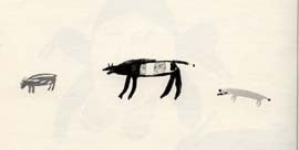 Small Animals
